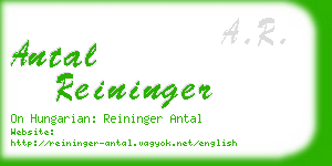 antal reininger business card